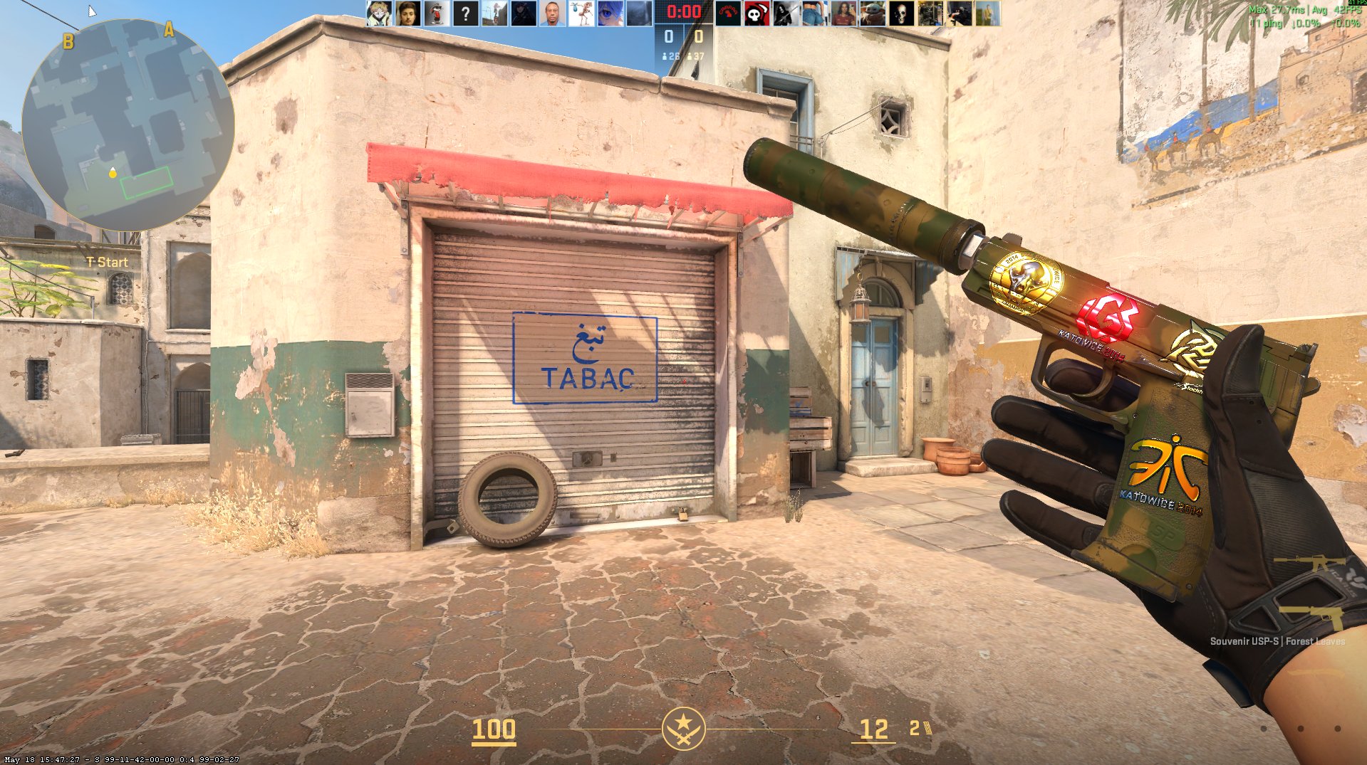 Souvenir USP-S Forest Leaves with Katowice 2014 stickers — rare CS2 souvenir pistol