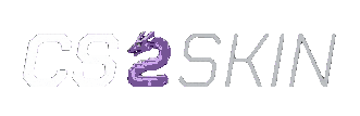 CS2SKin